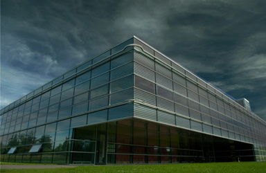 Business Services